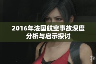 2016年法国航空事故深度分析与启示探讨