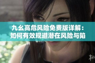 九幺高危风险免费版详解：如何有效规避潜在风险与陷阱