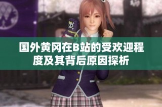 国外黄冈在B站的受欢迎程度及其背后原因探析