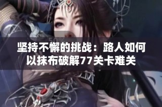 坚持不懈的挑战：路人如何以抹布破解77关卡难关