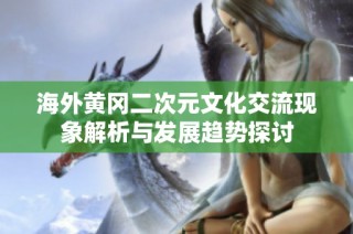 海外黄冈二次元文化交流现象解析与发展趋势探讨