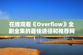 在线观看《Overflow》全剧全集的最佳途径和推荐网站