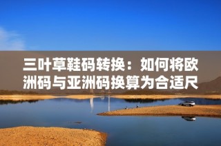 三叶草鞋码转换：如何将欧洲码与亚洲码换算为合适尺码