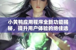 小黄鸭应用程序全新功能揭秘，提升用户体验的绝佳选择