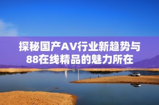 探秘国产AV行业新趋势与88在线精品的魅力所在