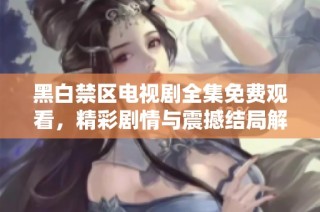 黑白禁区电视剧全集免费观看，精彩剧情与震撼结局解析