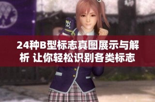 24种B型标志真图展示与解析 让你轻松识别各类标志