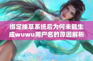 绑定挨草系统后为何未能生成wuwu用户名的原因解析