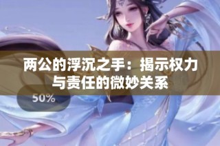 两公的浮沉之手：揭示权力与责任的微妙关系