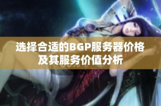 选择合适的BGP服务器价格及其服务价值分析
