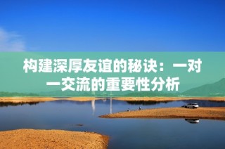 构建深厚友谊的秘诀：一对一交流的重要性分析