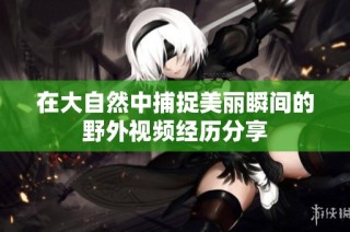 在大自然中捕捉美丽瞬间的野外视频经历分享