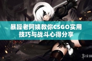 暴躁老阿姨教你CSGO实用技巧与战斗心得分享