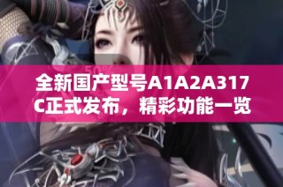全新国产型号A1A2A317C正式发布，精彩功能一览