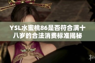 YSL水蜜桃86是否符合满十八岁的合法消费标准揭秘
