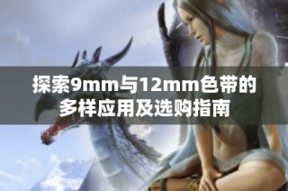 探索9mm与12mm色带的多样应用及选购指南