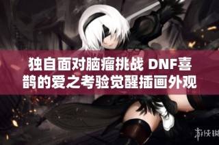 独自面对脑瘤挑战 DNF喜鹊的爱之考验觉醒插画外观全解析