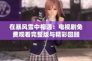 在暴风雪中相遇：电视剧免费观看完整版与精彩回顾