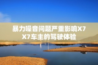 暴力噪音问题严重影响X7X7车主的驾驶体验