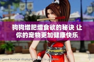 狗狗增肥增食欲的秘诀 让你的宠物更加健康快乐