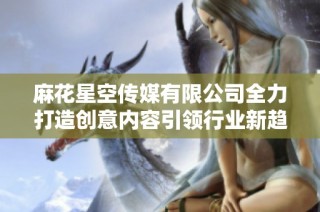 麻花星空传媒有限公司全力打造创意内容引领行业新趋势