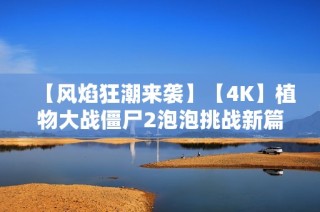 【风焰狂潮来袭】【4K】植物大战僵尸2泡泡挑战新篇章