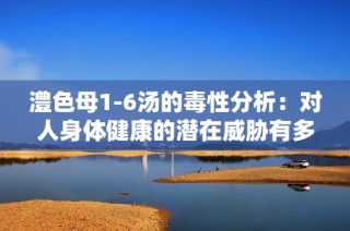 澧色母1-6汤的毒性分析：对人身体健康的潜在威胁有多大