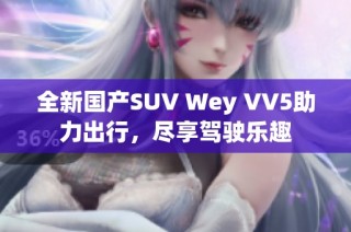 全新国产SUV Wey VV5助力出行，尽享驾驶乐趣