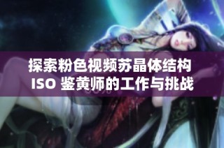 探索粉色视频苏晶体结构 ISO 鉴黄师的工作与挑战
