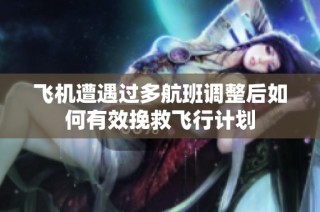 飞机遭遇过多航班调整后如何有效挽救飞行计划