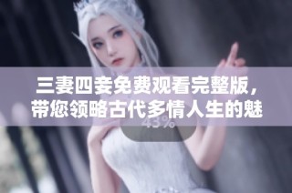 三妻四妾免费观看完整版，带您领略古代多情人生的魅力