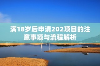 满18岁后申请202项目的注意事项与流程解析