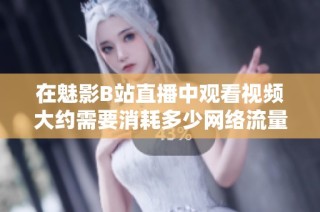 在魅影B站直播中观看视频大约需要消耗多少网络流量呢