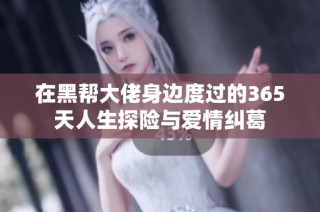 在黑帮大佬身边度过的365天人生探险与爱情纠葛