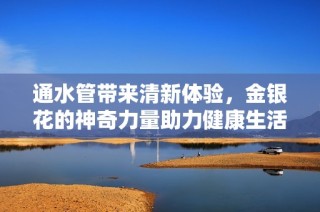 通水管带来清新体验，金银花的神奇力量助力健康生活