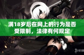 满18岁后在网上的行为是否受限制，法律有何规定