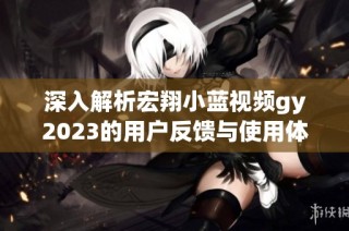 深入解析宏翔小蓝视频gy2023的用户反馈与使用体验