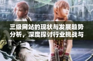 三级网站的现状与发展趋势分析，深度探讨行业挑战与机遇