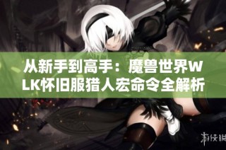 从新手到高手：魔兽世界WLK怀旧服猎人宏命令全解析与进阶技巧