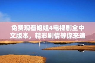 免费观看姐姐4电视剧全中文版本，精彩剧情等你来追赶！
