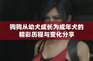 狗狗从幼犬成长为成年犬的精彩历程与变化分享