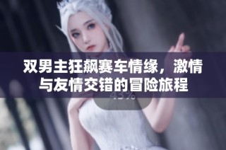 双男主狂飙赛车情缘，激情与友情交错的冒险旅程