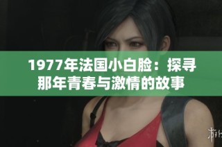 1977年法国小白脸：探寻那年青春与激情的故事