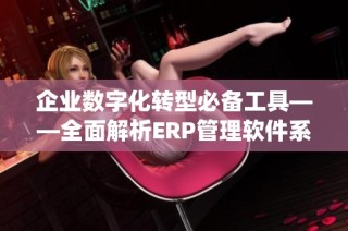 企业数字化转型必备工具——全面解析ERP管理软件系统的优势与应用