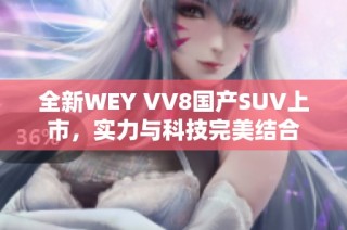 全新WEY VV8国产SUV上市，实力与科技完美结合