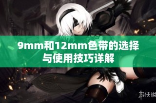 9mm和12mm色带的选择与使用技巧详解