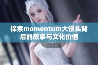 探索momentum大馒头背后的故事与文化价值