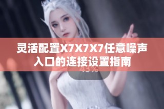 灵活配置X7X7X7任意噪声入口的连接设置指南