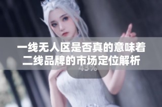 一线无人区是否真的意味着二线品牌的市场定位解析