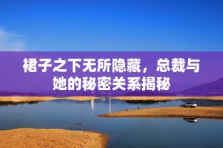 裙子之下无所隐藏，总裁与她的秘密关系揭秘